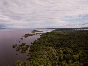 Vista aérea da margem do Rio Tapajós, no Oeste do Pará.