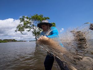 Fisherman throws net in Tapajós River
