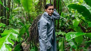 Indígena coletando açaí em Terra Indígena no Oiapoque-AP, na Amazônia.