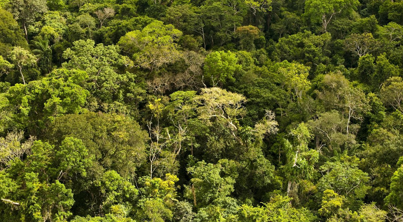Amazônia