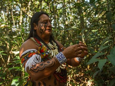 Rony Paresi, cacique da Aldeia Wazaré, demonstrando plantas medicinais durante passeio no plano de visitação de turismo.