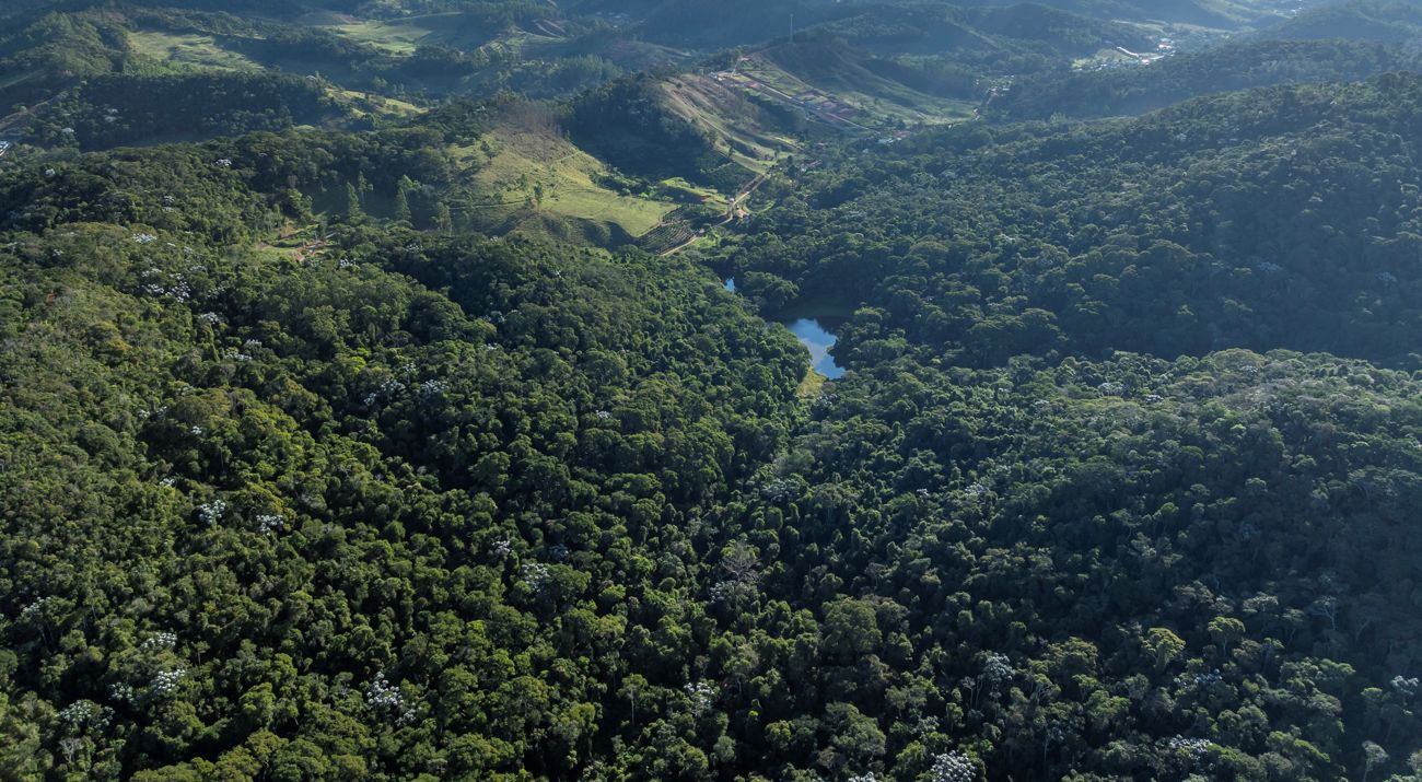 Vista aérea da Mata Atlântica
