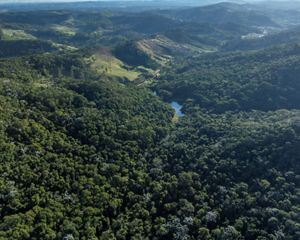 Vista aérea da Mata Atlântica