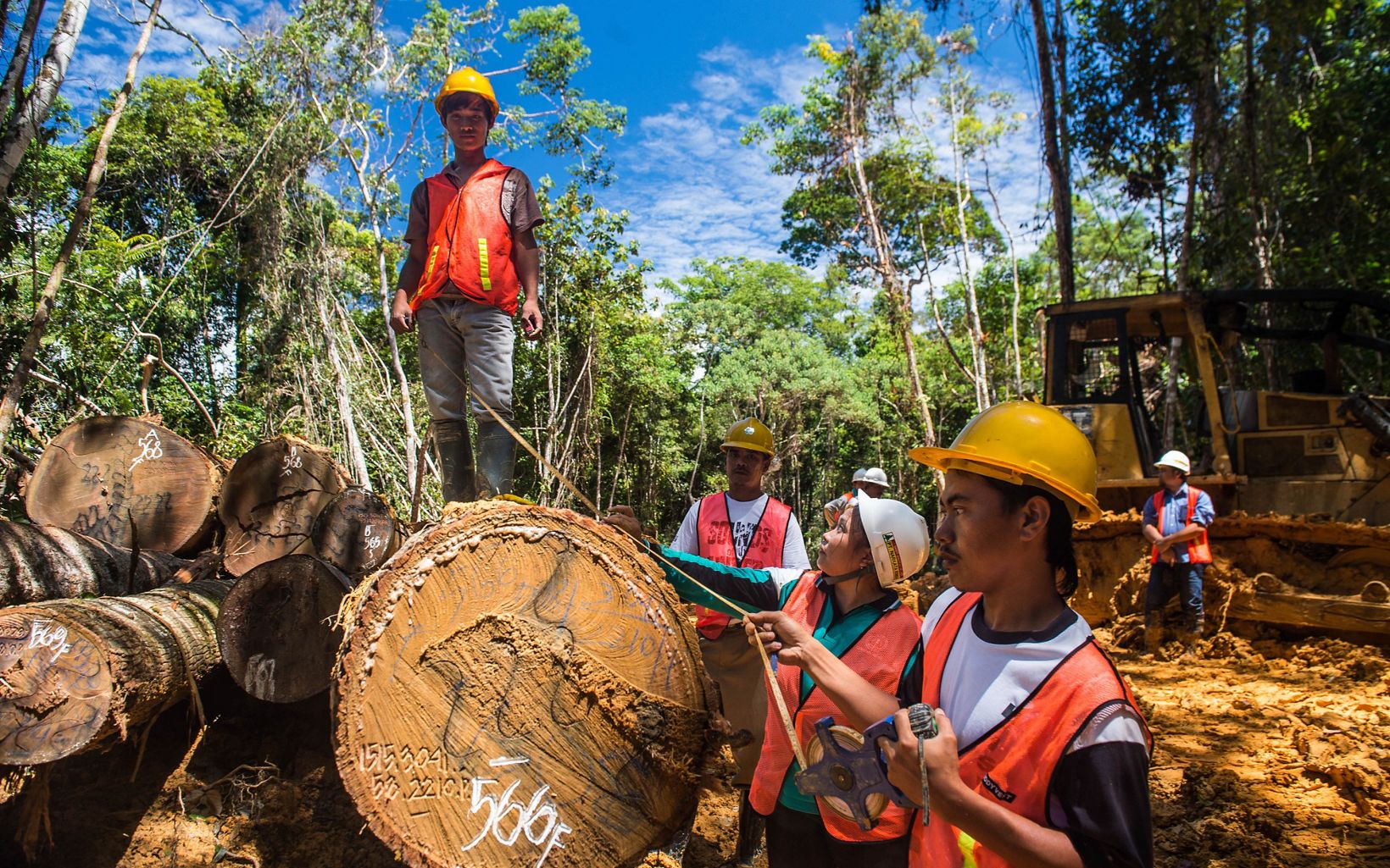 The Nature Conservancy's deforestation initiatives in East Kalimantan, Indonesia.
