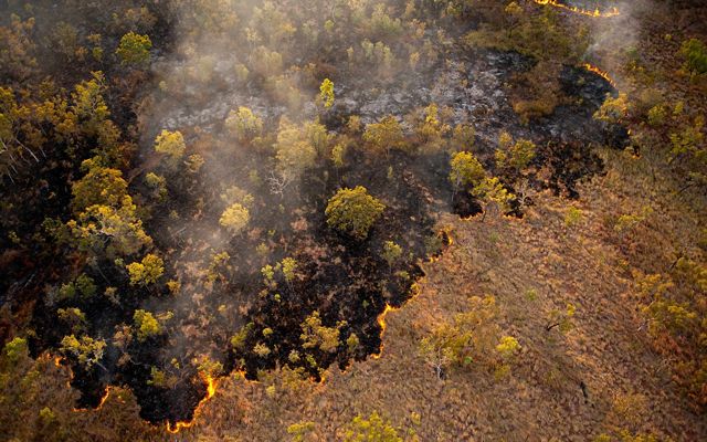 Aerial view of a controlled burn progressing across the landscape of a forest.
