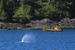 This announcement includes permanent financing that will support Indigenous-led management and sustainable economic development, such as ecotourism.