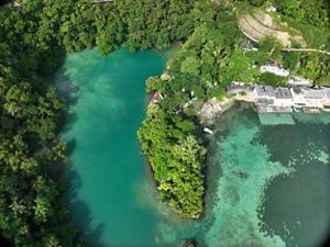 mangroves along coast as seen from above.