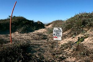 Posted amidst sand dunes, a No Trespassing sign alerts Ormond Beach patrons to the nesting grounds and coastal wetlands that protect the endangered, western snowy plover.