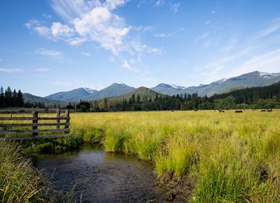 A creek runs next to a fence.