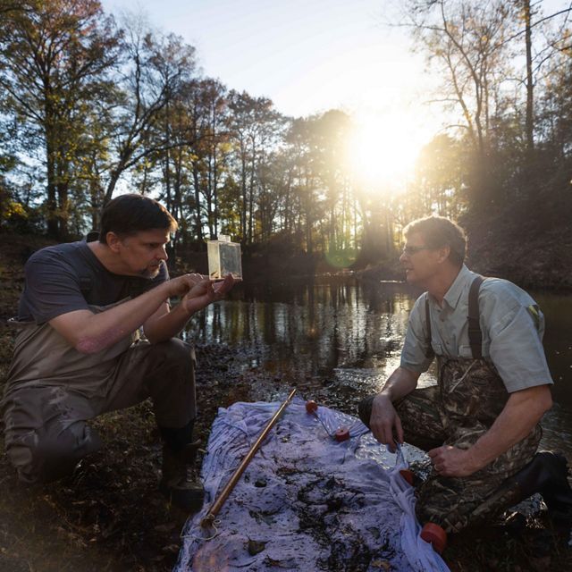 Two men crouch at the edge of a swampy river looking at the contents of water sample jar.