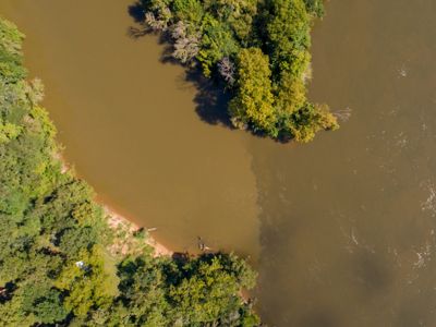 Two rivers converge with discernible line in a forested area.