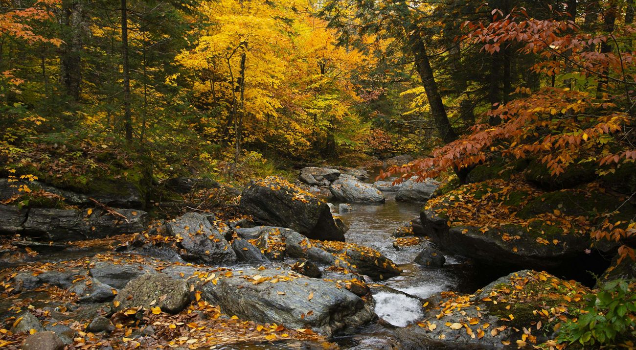 Water stream