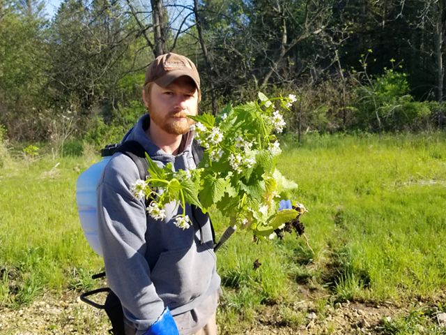 Caleb Klima stands, frowning, holding a bunch of green garlic mustard stems with small white flowers at the tip.