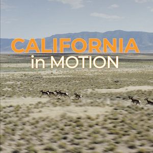 California in Motion video thumbnail showing pronghorn racing across a scrubby landscape.