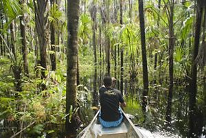 A person sits at the bow of a wooden canoe and paddles through a thick forest.
