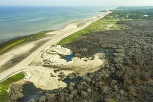 Aerial view of the coastline in Wellfleet on Cape Cod, with sand dunes and grasses.
