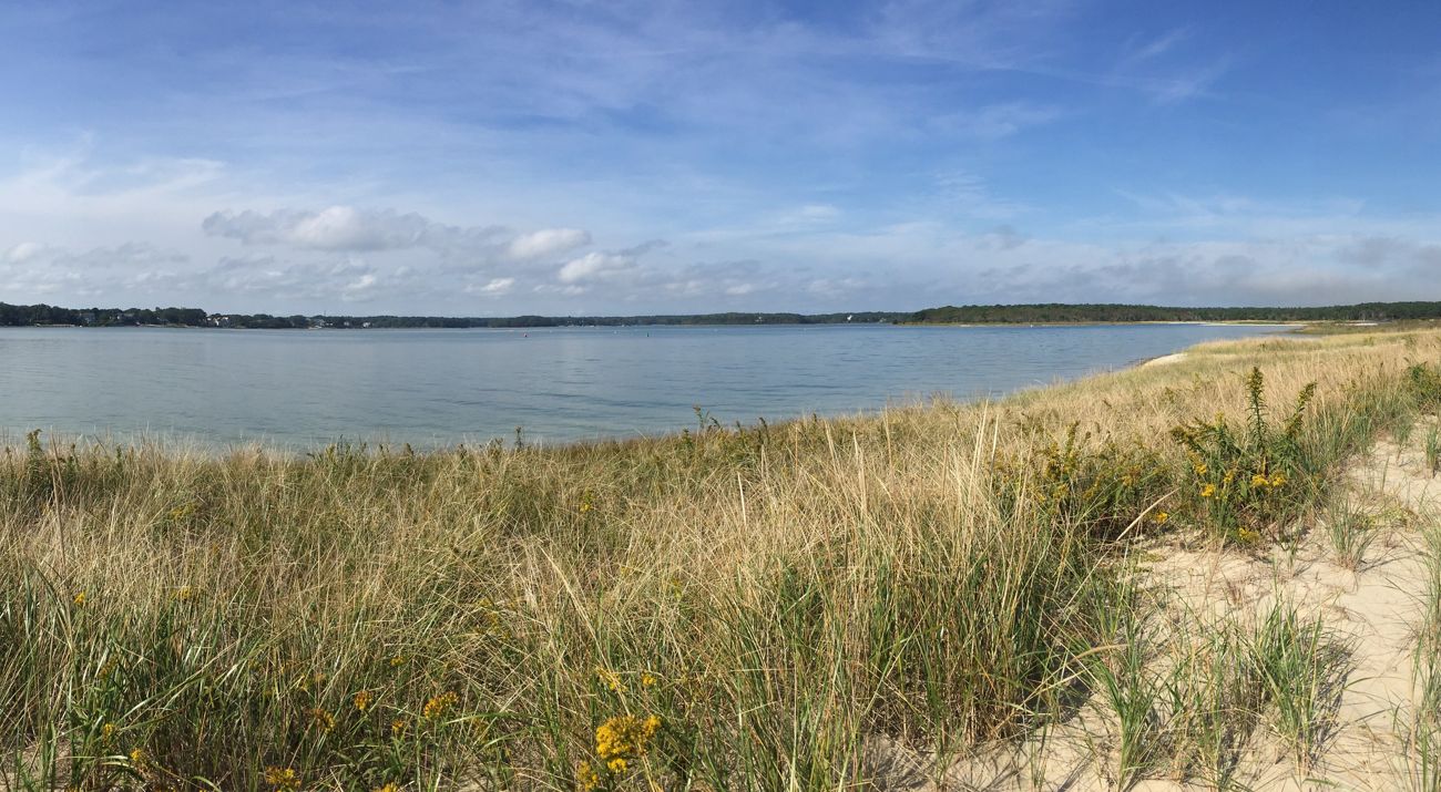 Sand and grasses in the foreground, with a bright coastal waterway in the background.