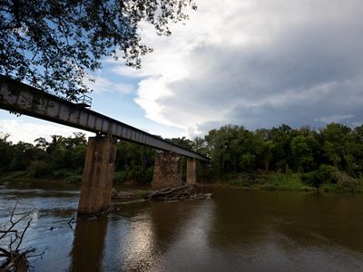 Cape Fear River bridge with clouds and trees in the background.