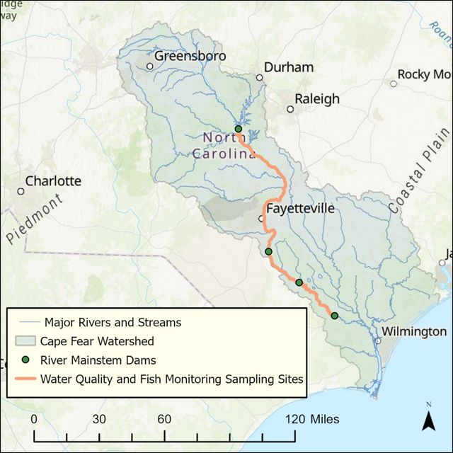Map of Cape Fear River basin in southeastern North Carolina.