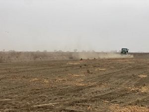 Planting cover crops on fallow farmlands to create habitat for wildlife.