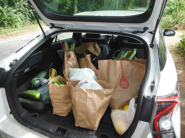 A carload of produce from the Medfield Community Garden on its way to the Medfield Food Cupboard