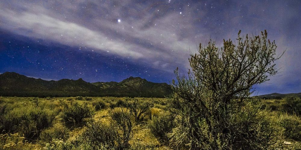 A landscape of sagebrush sea and a night sky.