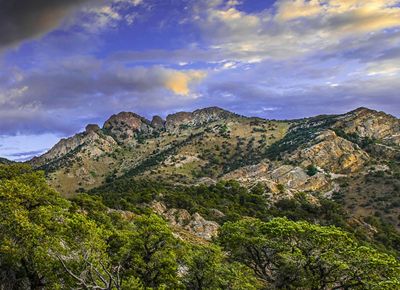 Landscape view of a rocky mountain range with green treetops in the foreground and a dramatic cloudy sky overhead.
