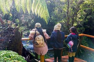 Visita Escuela Chaihuin sendero Los Alerces Reserva Costera Valdiviana