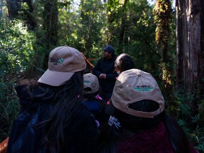 Alumnos y alumnas de Escuela Huape en sendero Los Alerces