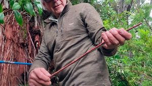 Datación alerces RCV