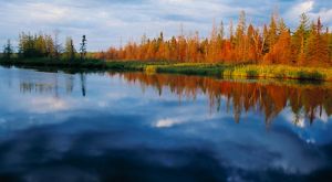 A flat lake with rows of bright red and orange trees along its banks.