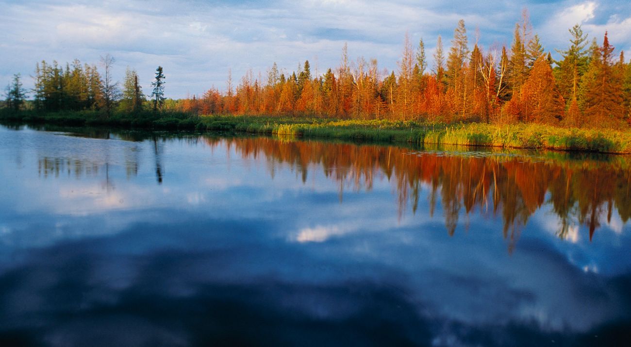 The glassy dark blue surface of Caroline Lake reflects white clouds. Trees with some fall colors grow along the shoreline.