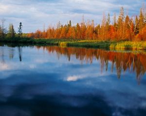 A flat lake with rows of bright red and orange trees along its banks.