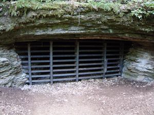 Newly installed cave gate.