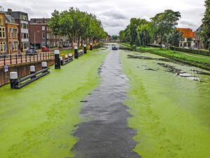 Canal in Europe with algae