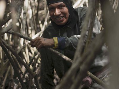 A man moves through mangroves using protective gear to catch conchs and crabs.