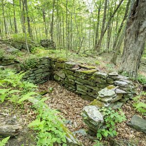 Looking down into a small stone foundation, surrounded by forest in springtime.