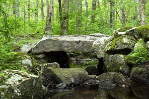 Side view of a small historic stone slab bridge over a narrow stream with dense green forest in the background