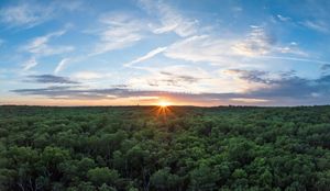 The sun drops below a lush, green, forested horizon with blue skies above.