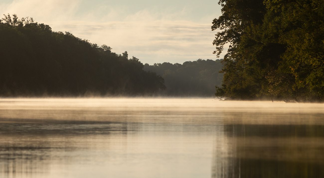 Sunlight reflects upon a slow moving river.