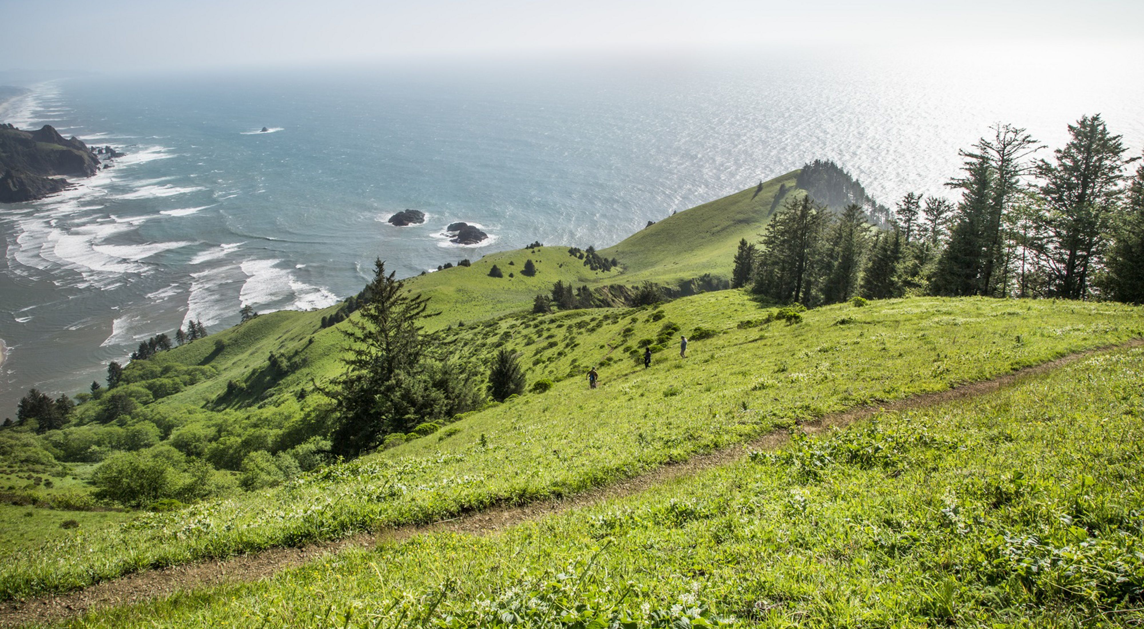 View down a steep slope from a headland covered in green grass, overlooking a beach and the ocean.