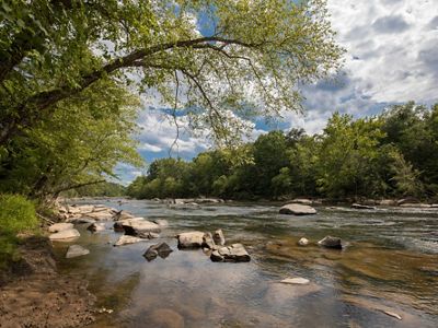 Trees' leafy green branches reach out over a river. The water is shallow along the banks where it flows over large rocks.