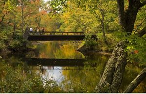 A view of a small bridge connecting fall landscapes. 