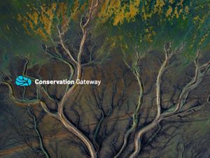 The Nature Conservancy’s compilation of science-based tools and resources for turning knowledge into impact for people and the planet.