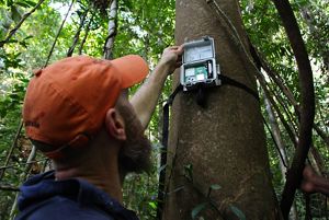 A man holds a recording device that looks like a box onto a tree trunk.