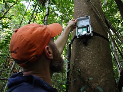 TNC lead scientist Eddie Game deploys an acoustic recorder in Papua New Guinea