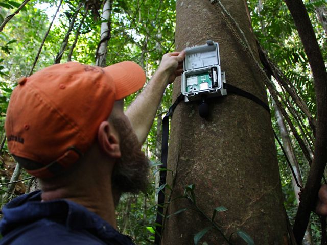 A man holds a recording device that looks like a box onto a tree trunk.