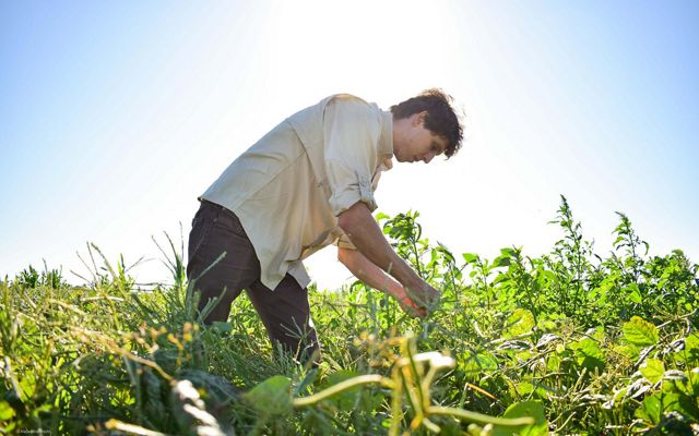 Investing in Sustainability