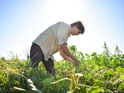 Agricultor trabajando campos de cultivo.
