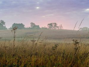 Misty horizon above Nachusa's grassy fields at dawn.